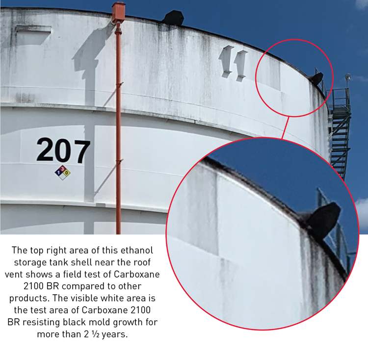 The top right area of this ethanol storage tank shell near the roof vent shows a field test of Carboxane 2100 BR compared to other products. The visible white area is the test area of Carboxane 2100 BR resisting black mold growth for more than 2 1/2 years.