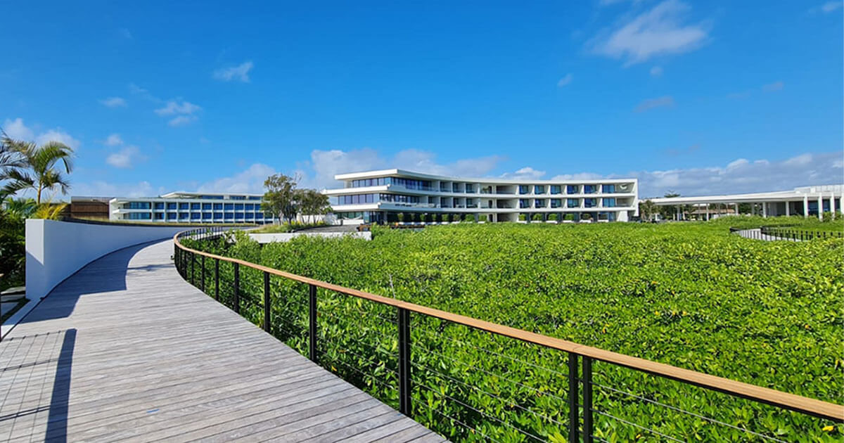 A mangrove forest in the foreground with the St. Regis Kanai resort in the background.