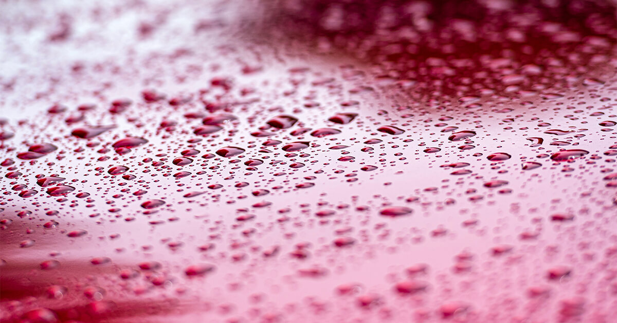 Condensation forms on the surface of a coating.